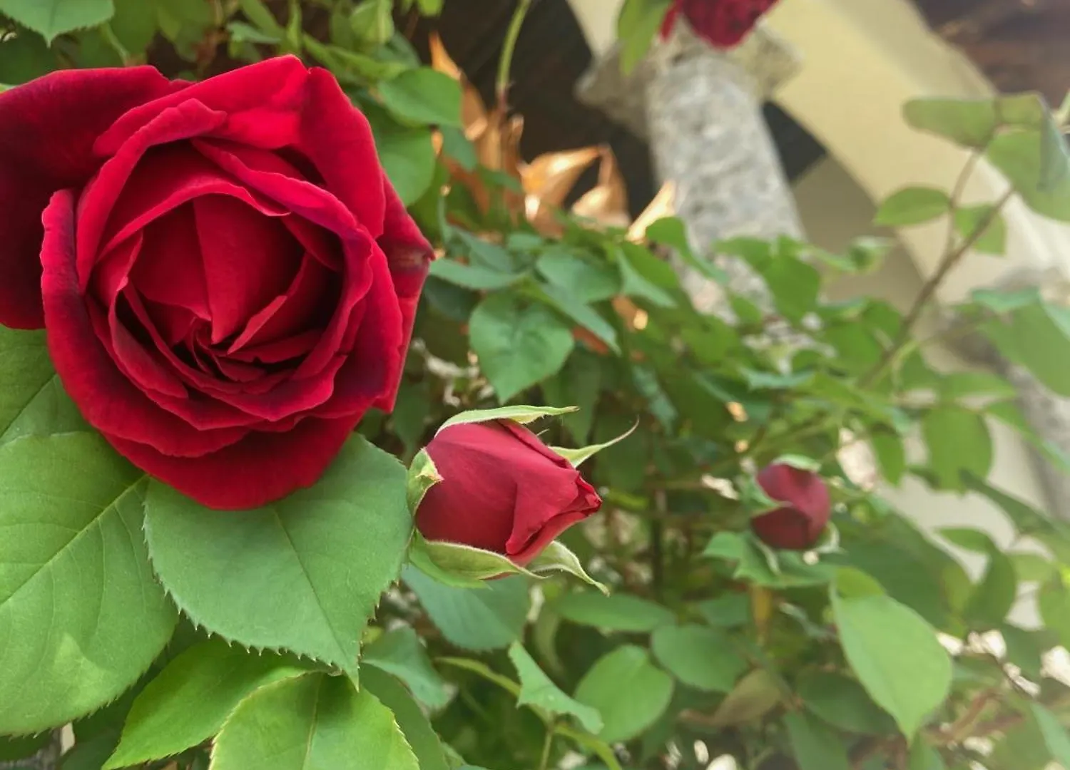 B&B Villa Cortese Clusone Bed & Breakfast